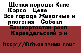 Щенки породы Кане-Корсо › Цена ­ 25 000 - Все города Животные и растения » Собаки   . Башкортостан респ.,Караидельский р-н